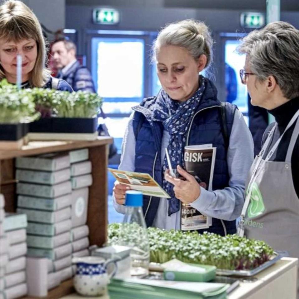 Torvescenen på Butikstorvet på Foodexpo